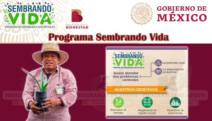 Programa Sembrando Vida en México