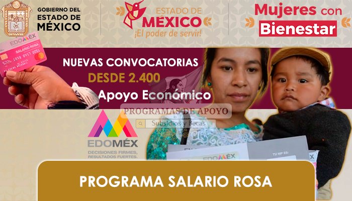 Programa salario rosa