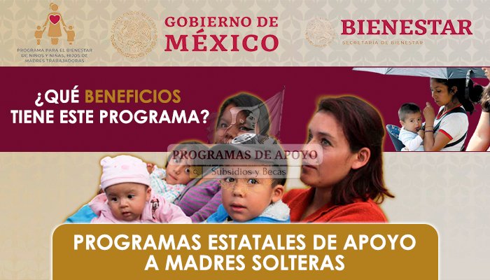 Programas Estatales de Apoyo a Madres Solteras