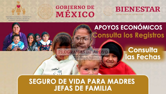 Seguro de Vida para Madres Jefas de Familia