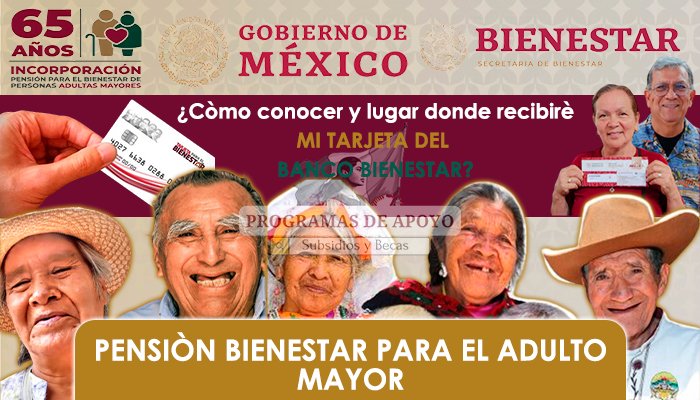 Pension Bienestar para el Adulto Mayor