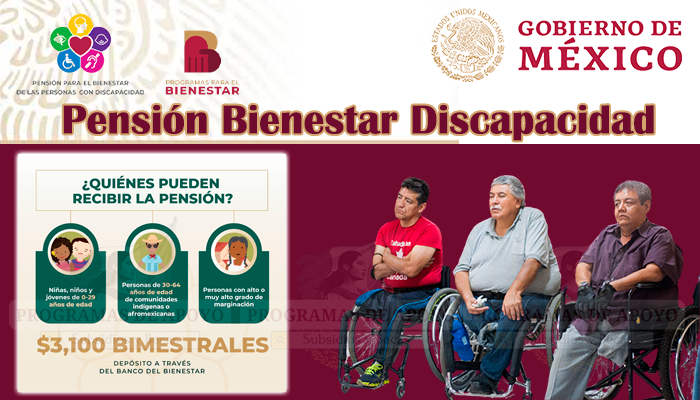 pension bienestar discapacidad